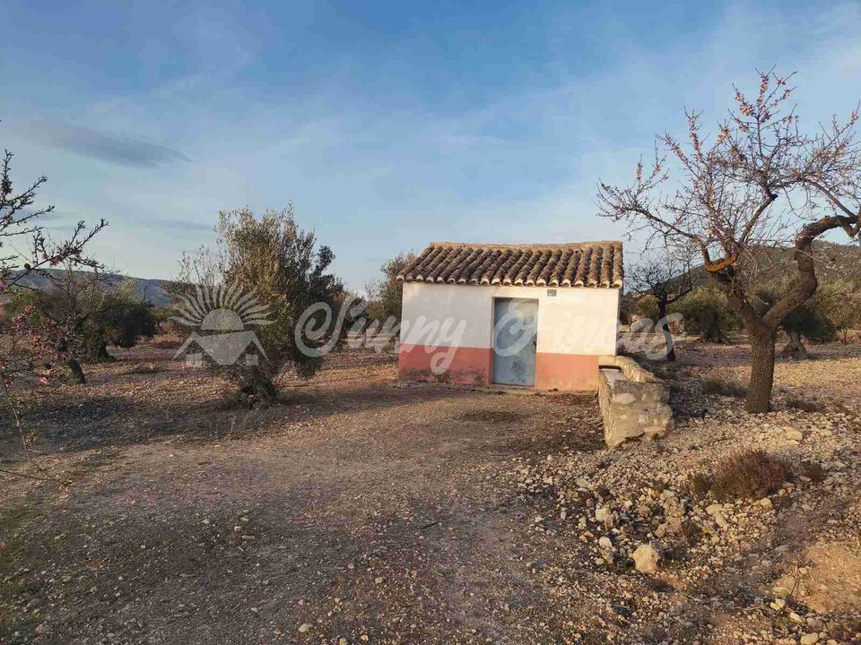 Terra em Biar, Alicante - foto 1
